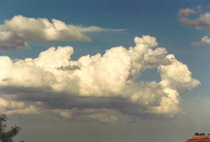 cumulus mediocris : Oakhurst, NSW   19 September 1995