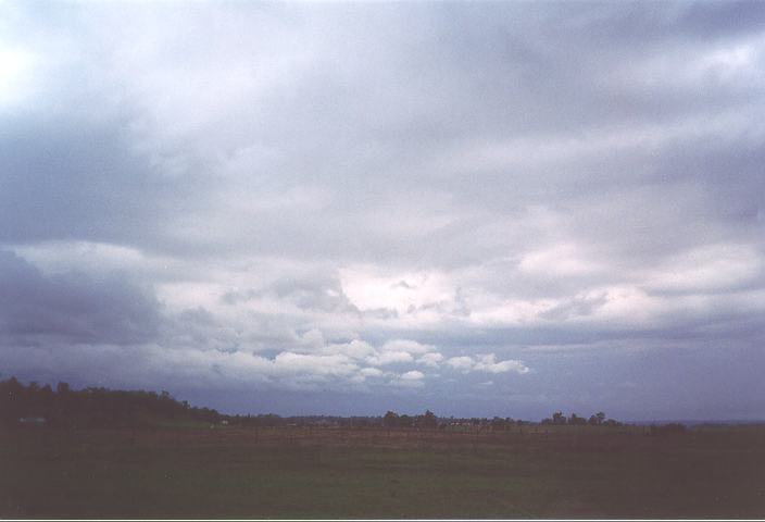 stratus stratus_cloud : Freemans Reach, NSW   24 September 1995