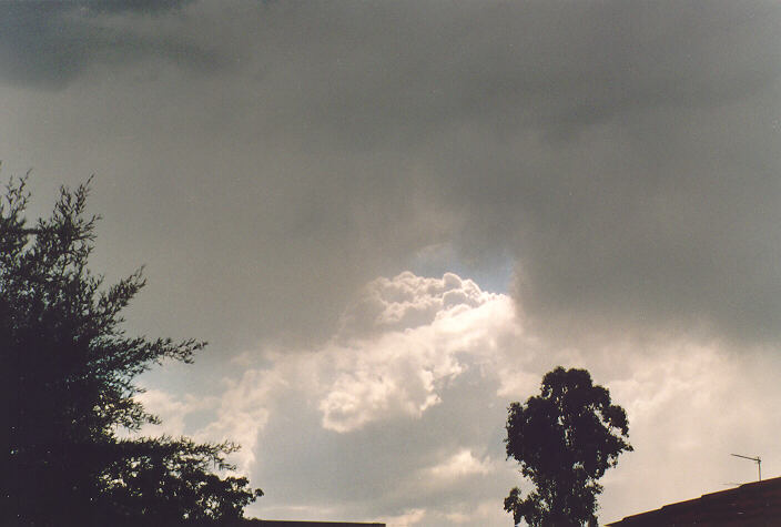 cumulus mediocris : Oakhurst, NSW   1 October 1995