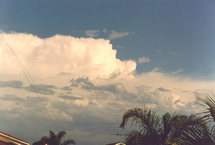 thunderstorm cumulonimbus_calvus : Oakhurst, NSW   1 October 1995