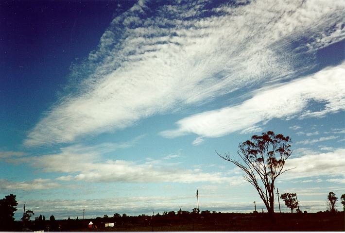 stratocumulus stratocumulus_cloud : Quakers Hill, NSW   23 October 1995