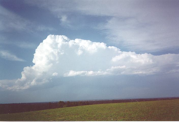 cirrostratus cirrostratus_cloud : Rooty Hill, NSW   28 October 1995