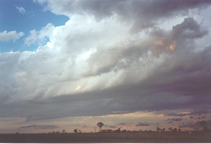 thunderstorm cumulonimbus_calvus : Quakers Hill, NSW   28 October 1995