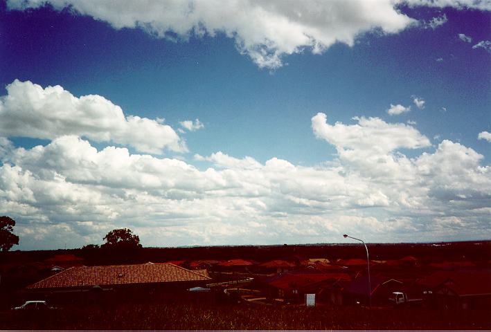 cumulus mediocris : Quakers Hill, NSW   5 November 1995