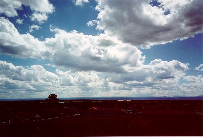 cumulus mediocris : Quakers Hill, NSW   5 November 1995