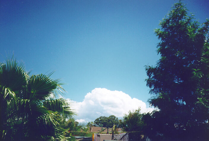 cumulus mediocris : Oakhurst, NSW   5 November 1995