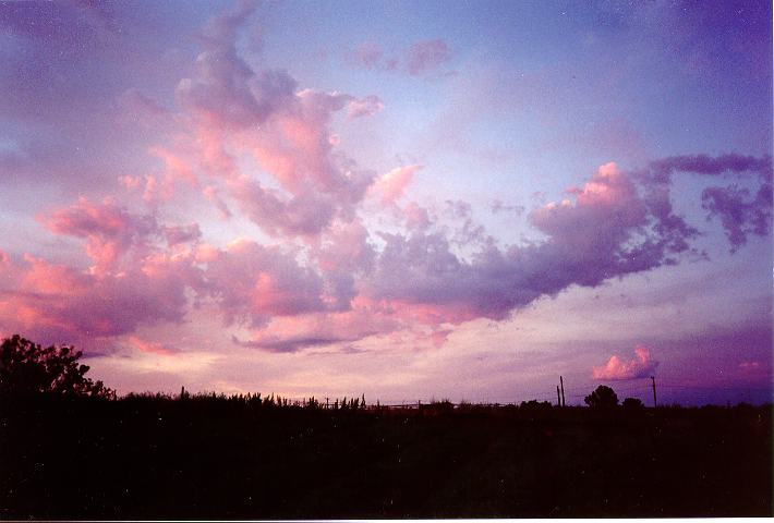 cumulus mediocris : Schofields, NSW   15 November 1995