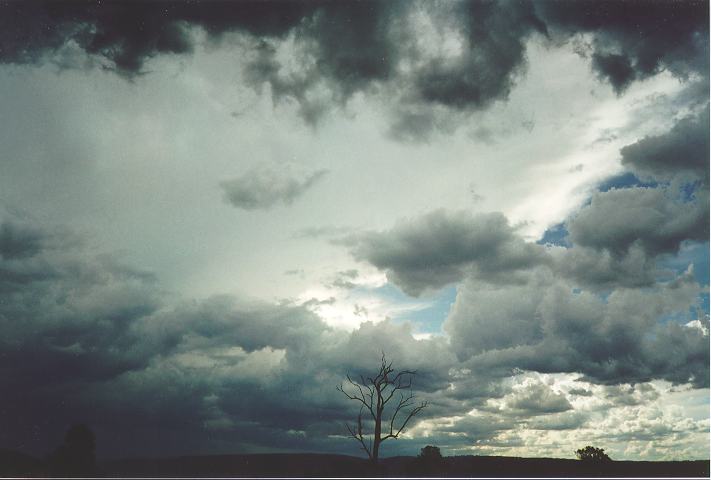 cumulus mediocris : Orchard Hills, NSW   18 November 1995