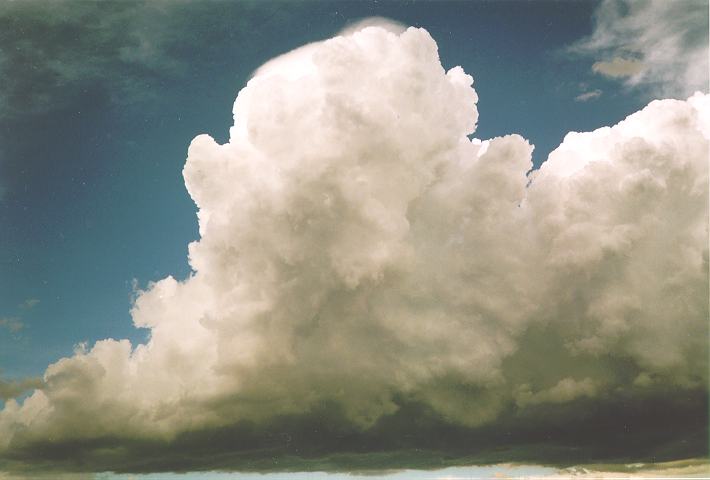 updraft thunderstorm_updrafts : Castlereagh, NSW   18 November 1995