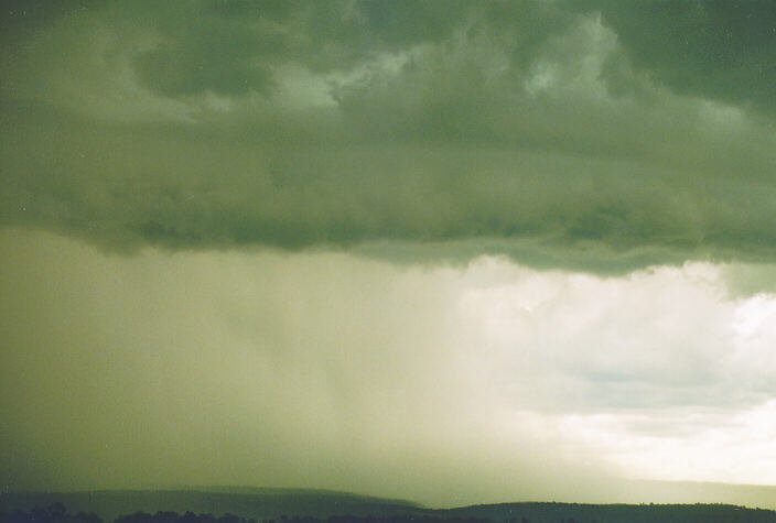 shelfcloud shelf_cloud : Luddenham, NSW   18 November 1995