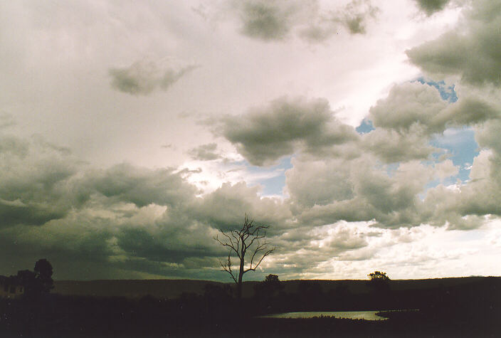 cumulus mediocris : Luddenham, NSW   18 November 1995