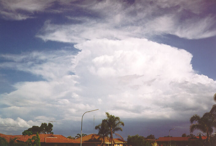 thunderstorm cumulonimbus_incus : Oakhurst, NSW   18 November 1995