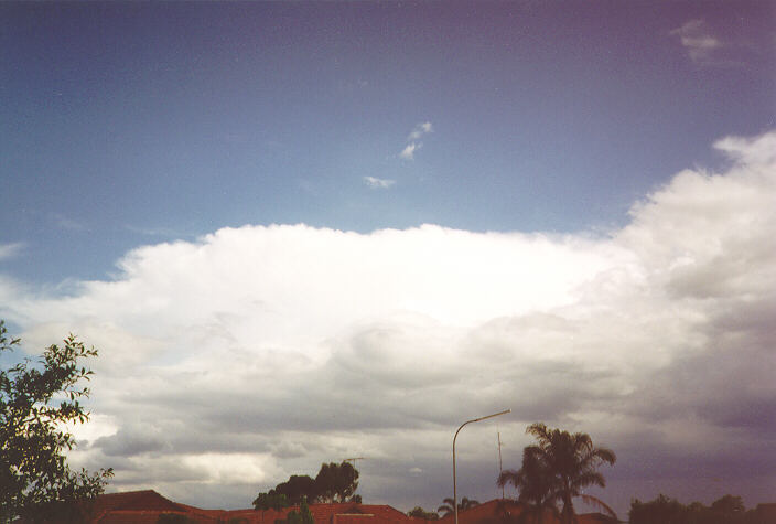 thunderstorm cumulonimbus_incus : Oakhurst, NSW   18 November 1995