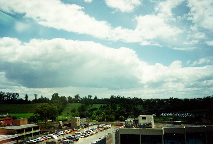 cumulus mediocris : Parramatta, NSW   12 December 1995
