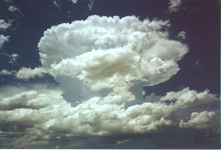 thunderstorm cumulonimbus_incus : Schofields, NSW   18 December 1995