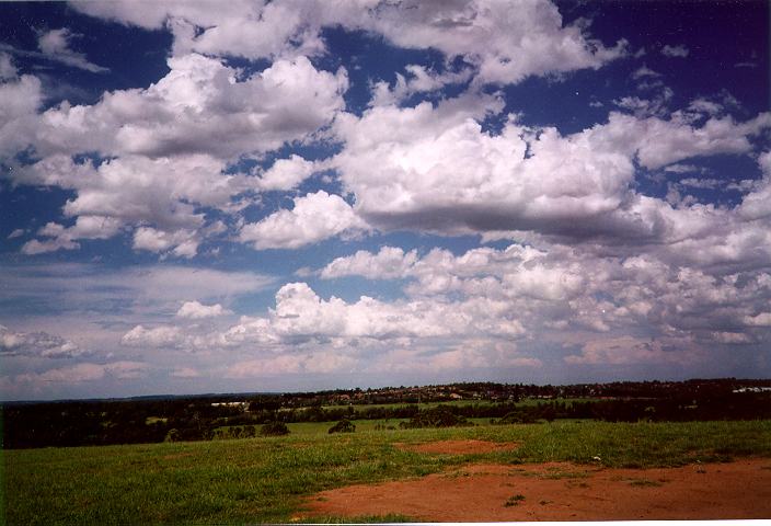 cumulus mediocris : Rooty Hill, NSW   18 December 1995