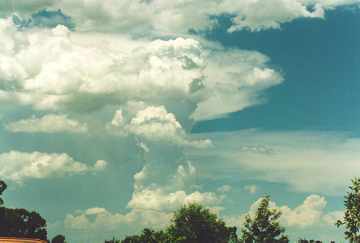thunderstorm cumulonimbus_incus : Oakhurst, NSW   18 December 1995