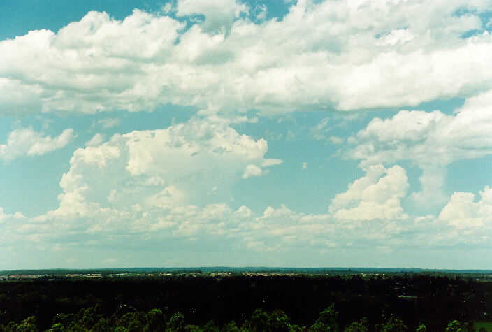 cumulus congestus : Rooty Hill, NSW   18 December 1995