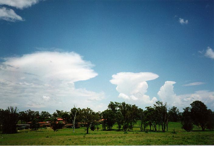 thunderstorm cumulonimbus_incus : Schofields, NSW   27 December 1995