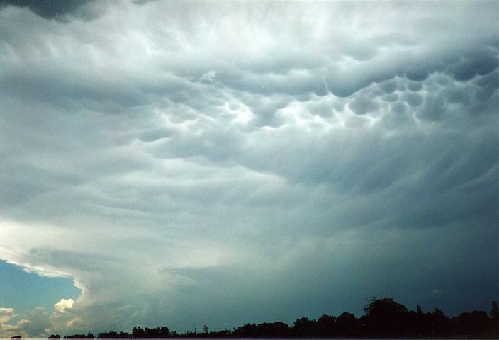 thunderstorm cumulonimbus_incus : Camden, NSW   27 December 1995