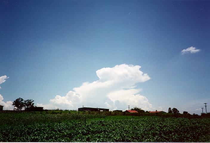 thunderstorm cumulonimbus_incus : Schofields, NSW   18 January 1996