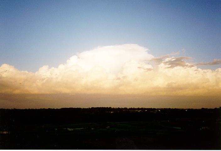 thunderstorm cumulonimbus_calvus : Schofields, NSW   25 January 1996