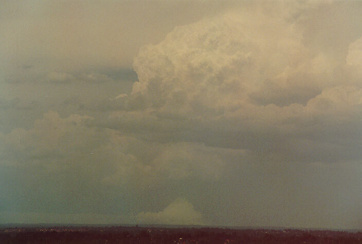 updraft thunderstorm_updrafts : Rooty Hill, NSW   5 February 1996
