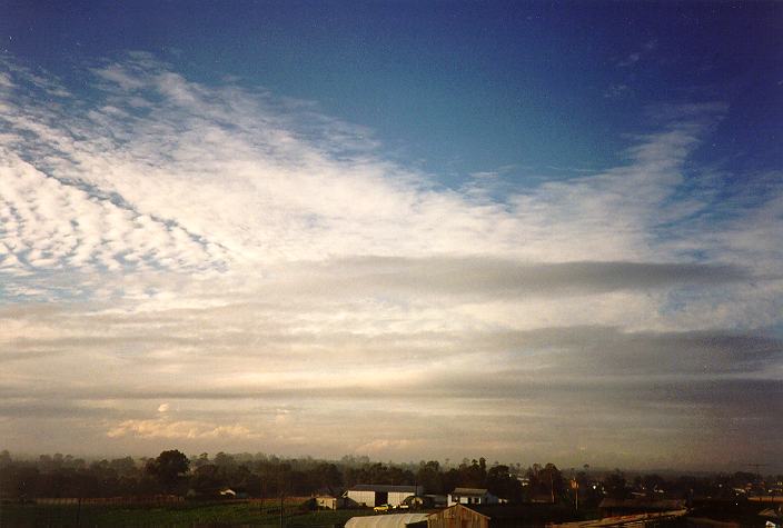 cumulus mediocris : Schofields, NSW   19 May 1996