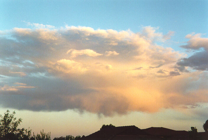 cumulus mediocris : Oakhurst, NSW   26 September 1996