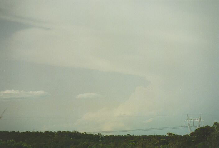 thunderstorm cumulonimbus_incus : Wyee, NSW   29 September 1996