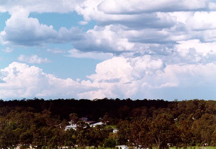 thunderstorm cumulonimbus_calvus : Schofields, NSW   9 November 1996