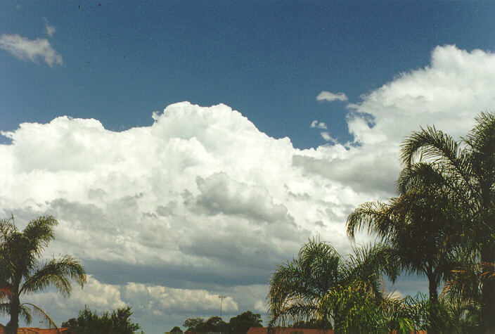 cumulus congestus : Oakhurst, NSW   9 November 1996
