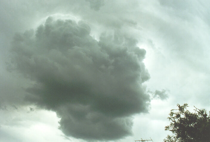 altostratus altostratus_cloud : Oakhurst, NSW   9 November 1996