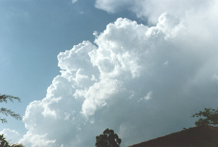 cumulus congestus : Oakhurst, NSW   4 December 1996