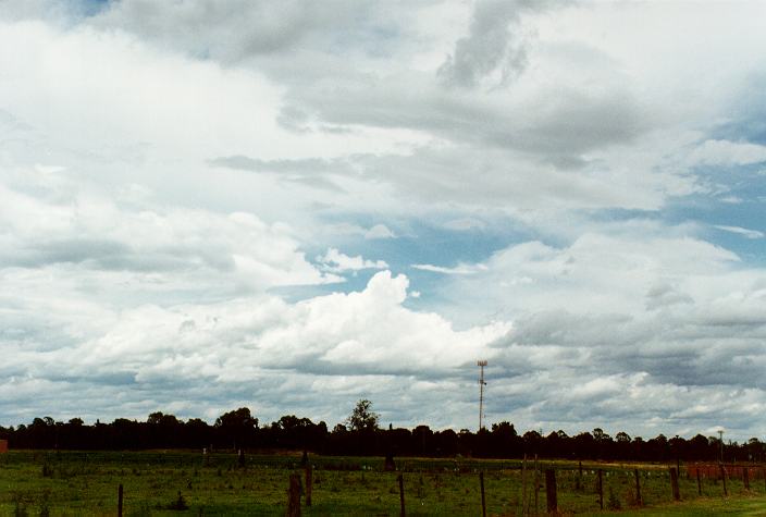 cumulus congestus : Windsor Downs, NSW   7 December 1996