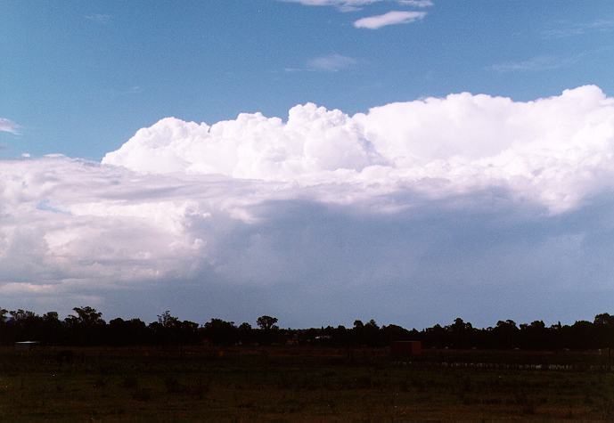 thunderstorm cumulonimbus_incus : Richmond, NSW   28 December 1996