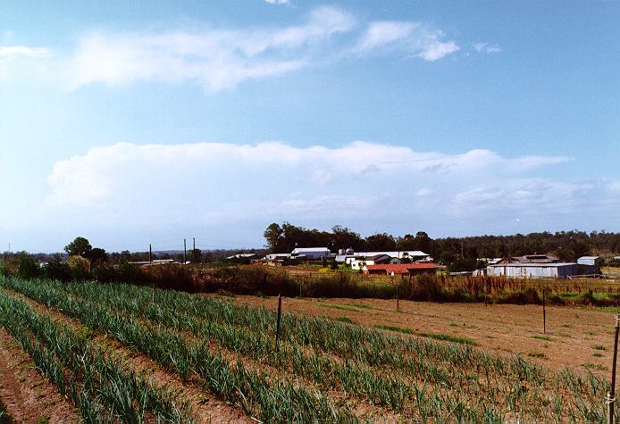 thunderstorm cumulonimbus_incus : Schofields, NSW   29 December 1996