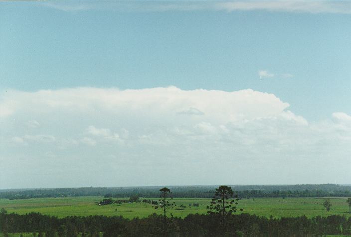 thunderstorm cumulonimbus_incus : Parrots Nest, NSW   29 December 1996