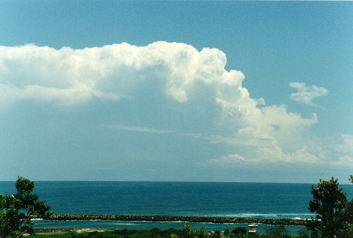cumulonimbus supercell_thunderstorm : Ballina, NSW   31 December 1996