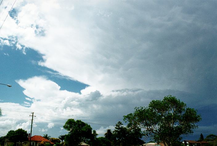 mammatus mammatus_cloud : Ballina, NSW   31 December 1996