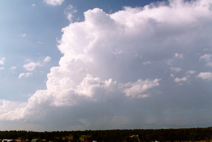 raincascade precipitation_cascade : Schofields, NSW   30 March 1997