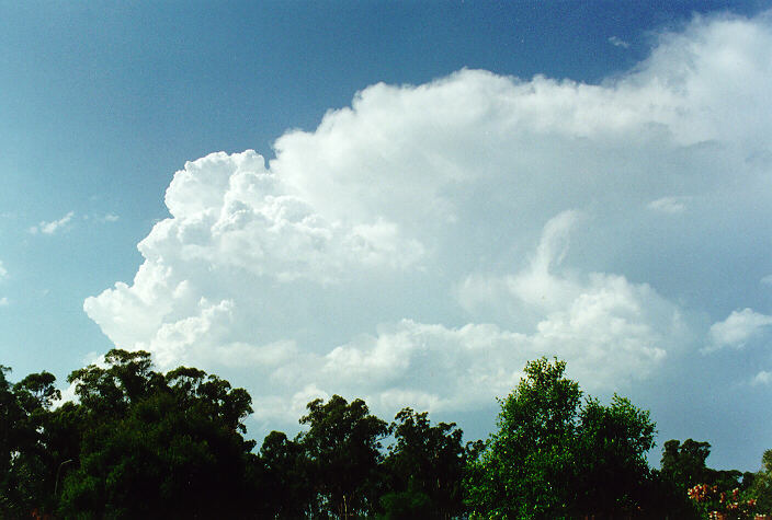thunderstorm cumulonimbus_incus : Oakhurst, NSW   30 March 1997