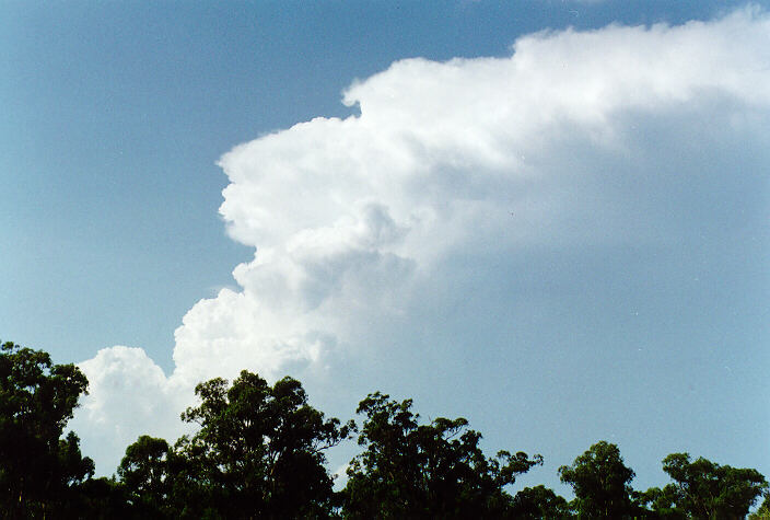thunderstorm cumulonimbus_incus : Oakhurst, NSW   30 March 1997