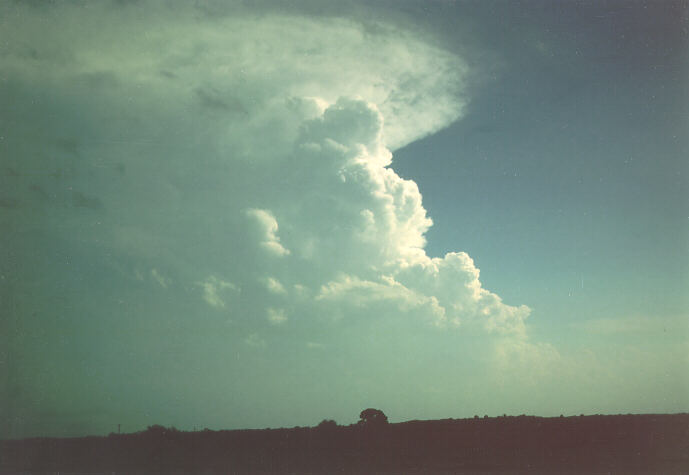 cumulonimbus supercell_thunderstorm : photo by Ted Best   25 May 1997