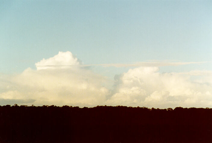 cumulus congestus : Schofields, NSW   3 August 1997