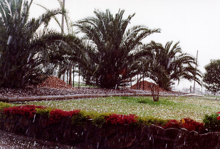 precipitation precipitation_rain : Schofields, NSW   20 September 1997