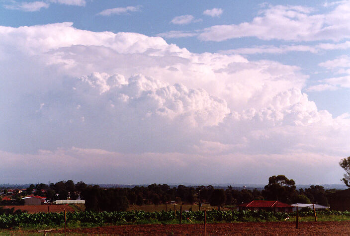 updraft thunderstorm_updrafts : Schofields, NSW   15 November 1997