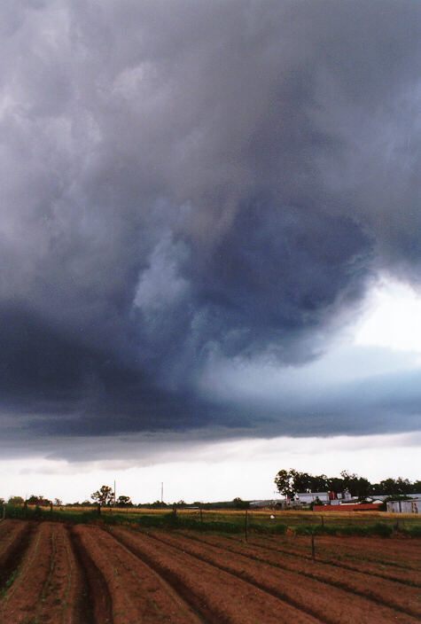 cumulonimbus thunderstorm_base : Schofields, NSW   15 November 1997