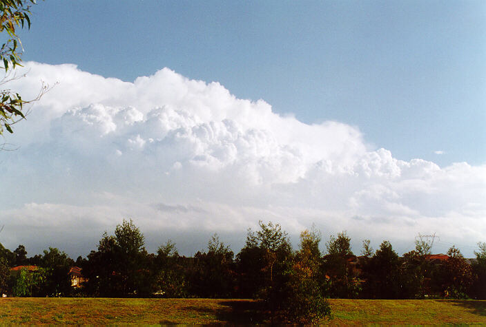 thunderstorm cumulonimbus_incus : Bonnyrigg, NSW   15 November 1997