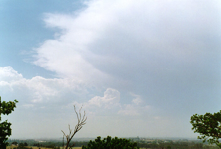 cumulus congestus : Horsley Park, NSW   26 November 1997